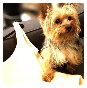 Kelly Terry Onia One Piece NWT